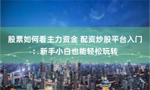 股票如何看主力资金 配资炒股平台入门：新手小白也能轻松玩转