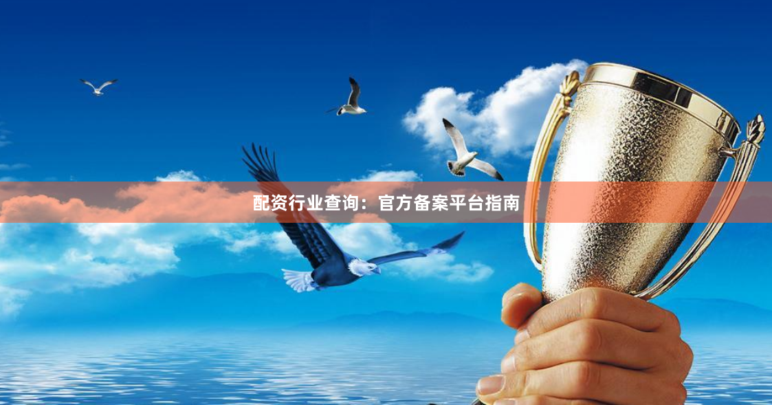 配资行业查询：官方备案平台指南