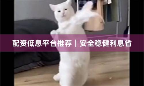 配资低息平台推荐｜安全稳健利息省